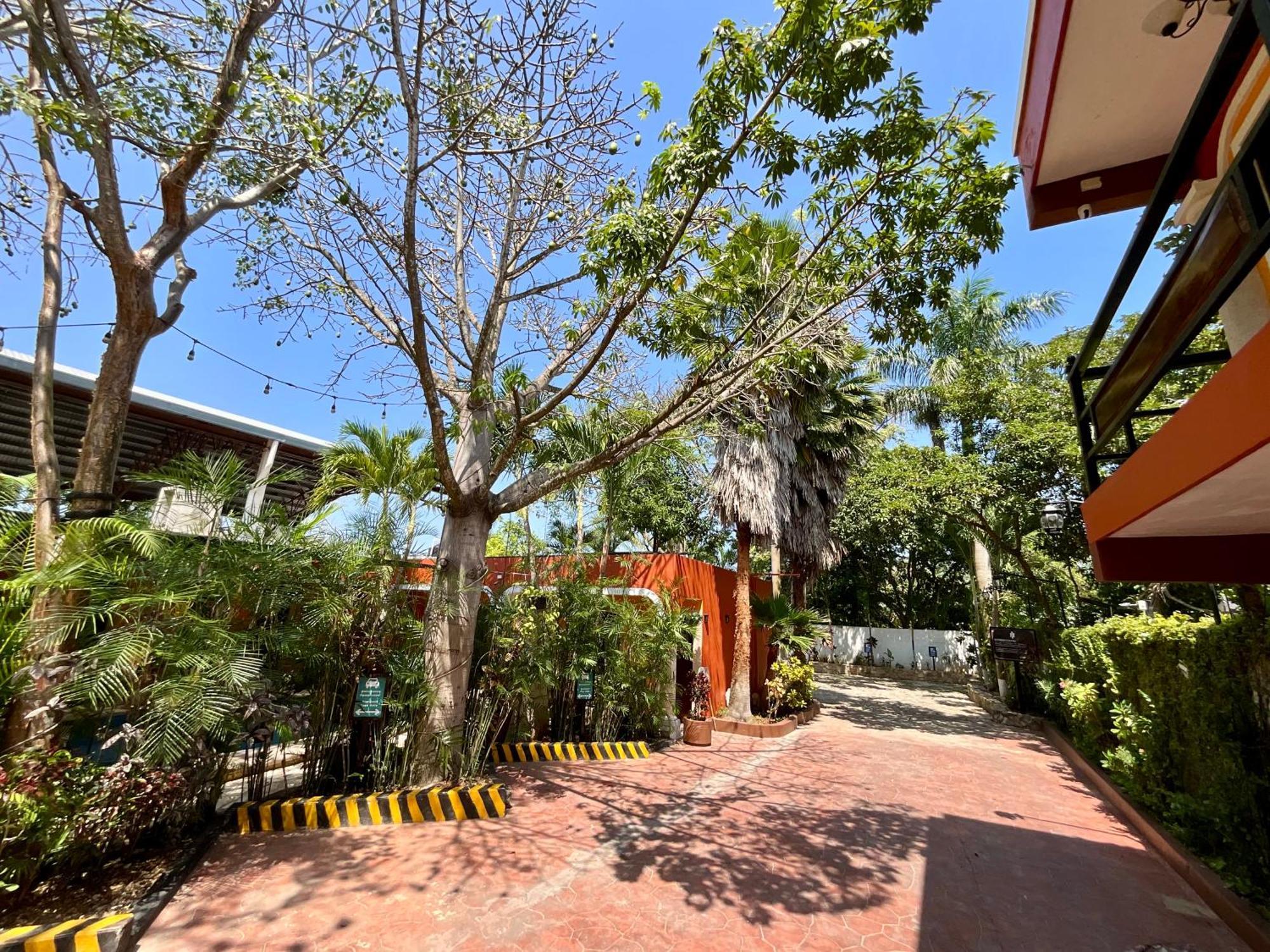 El Zaguan Colonial By Guruhotel วัลลาโดลิด ภายนอก รูปภาพ